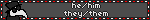 Pronouns Info